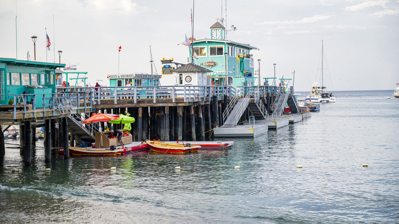 Photo of Others in Catalina Island