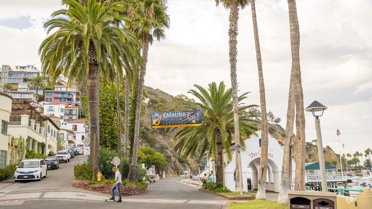 Photo of Others in Catalina Island