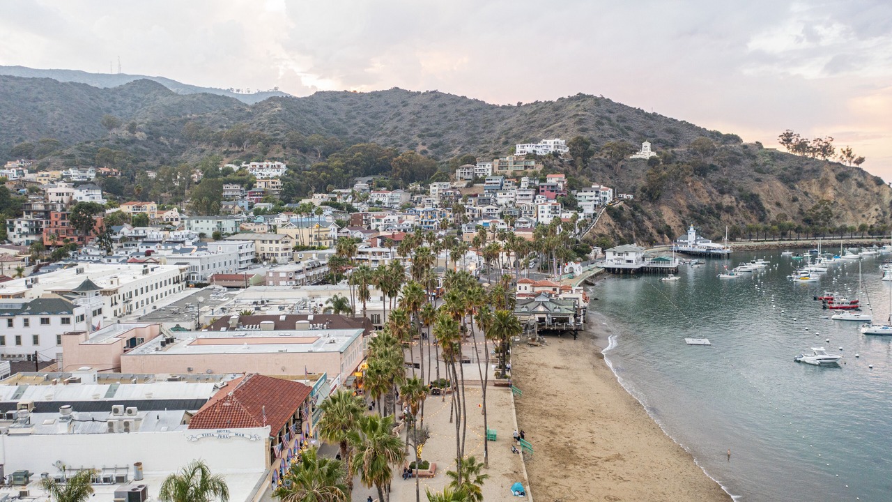 Photo of Others in Catalina Island