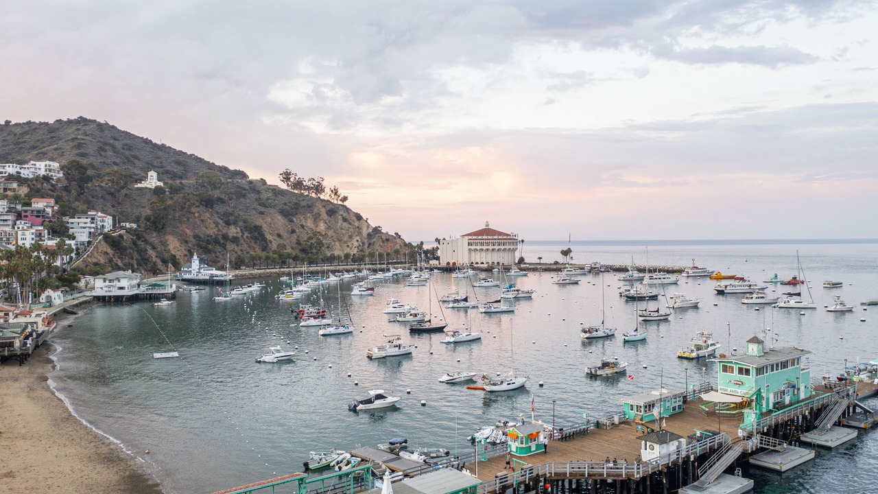 Photo of Others in Catalina Island