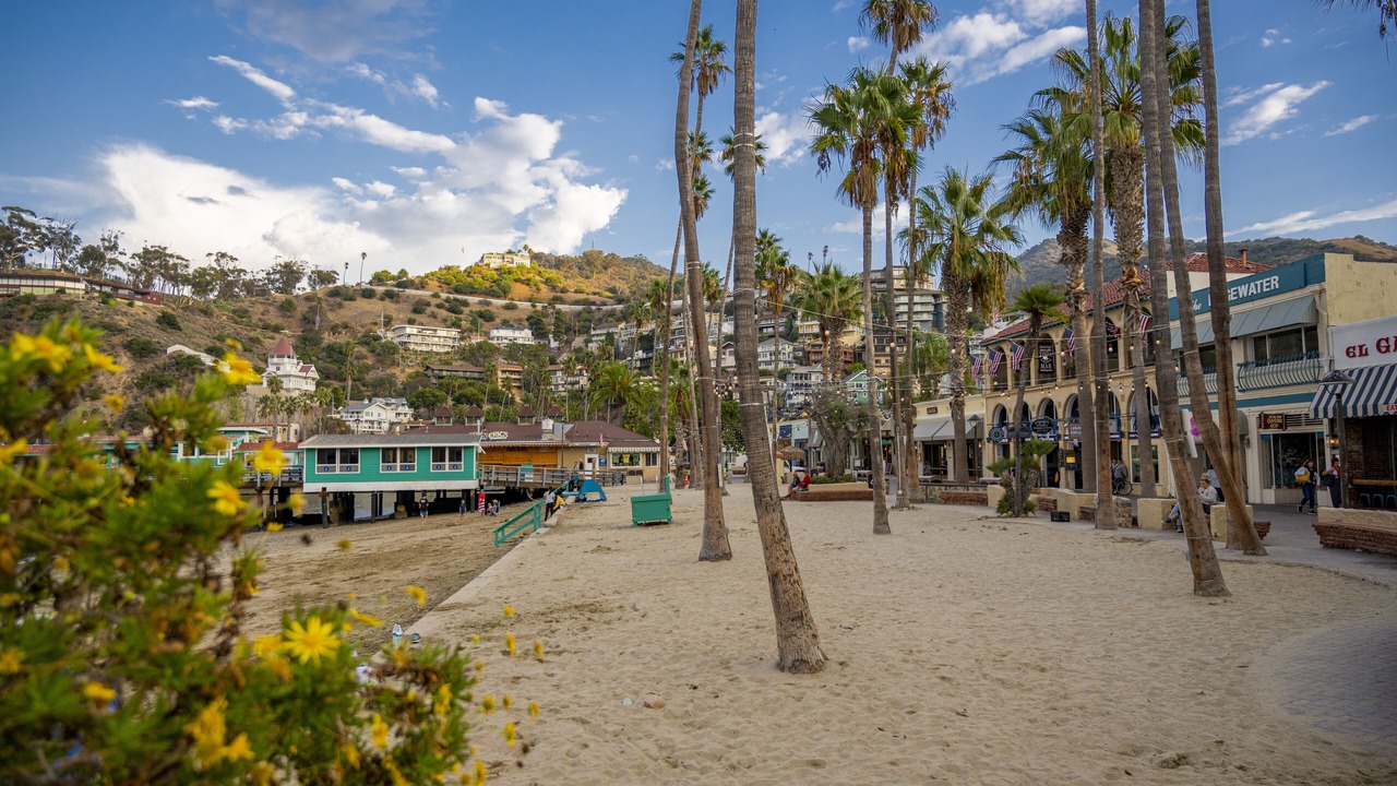 Photo of Outdoor in Catalina Island