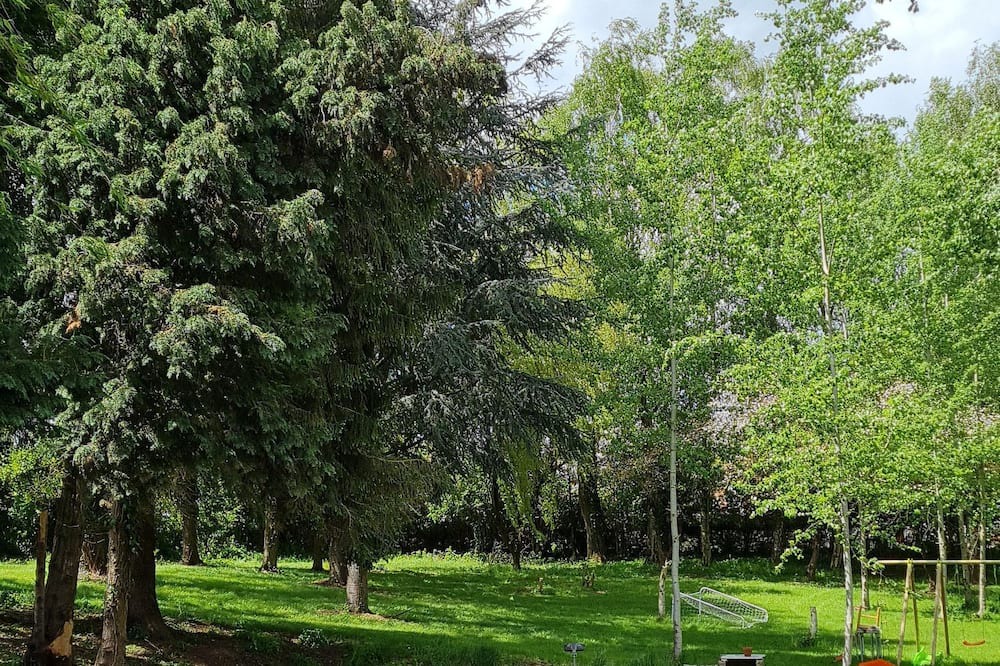 Photo of Outdoor in Feignies