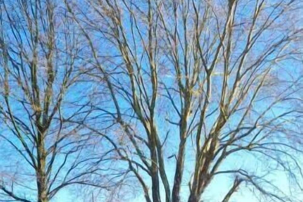 Photo of Outdoor in Feignies