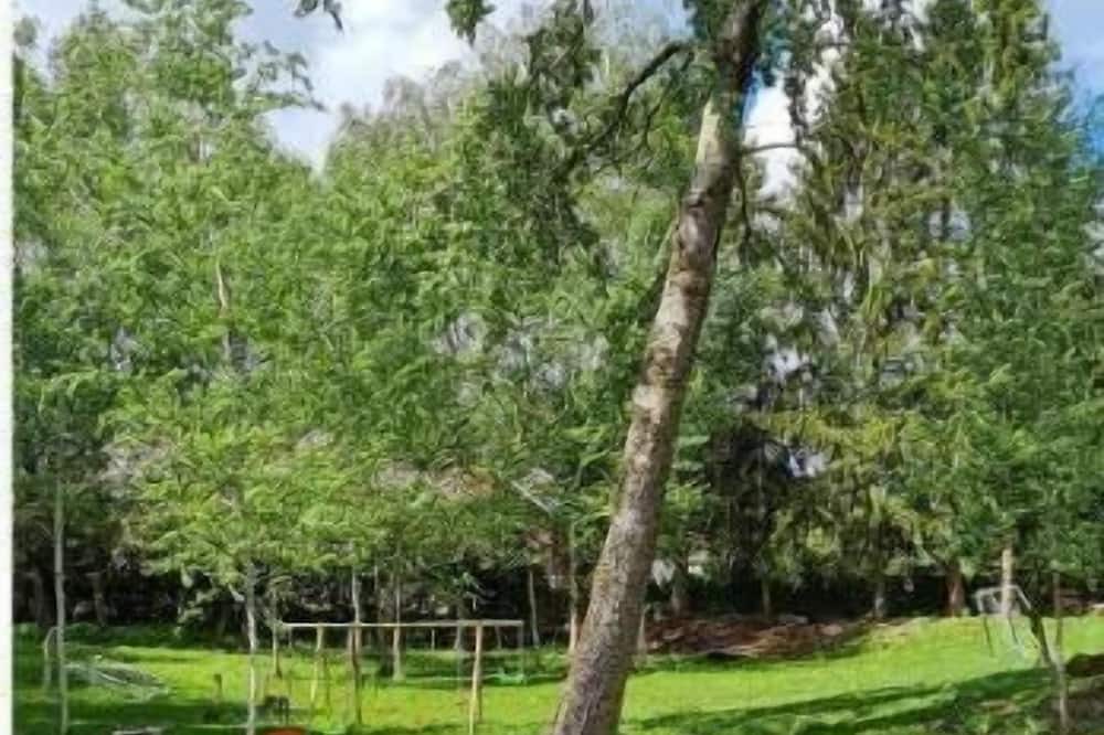 Photo of Outdoor in Feignies