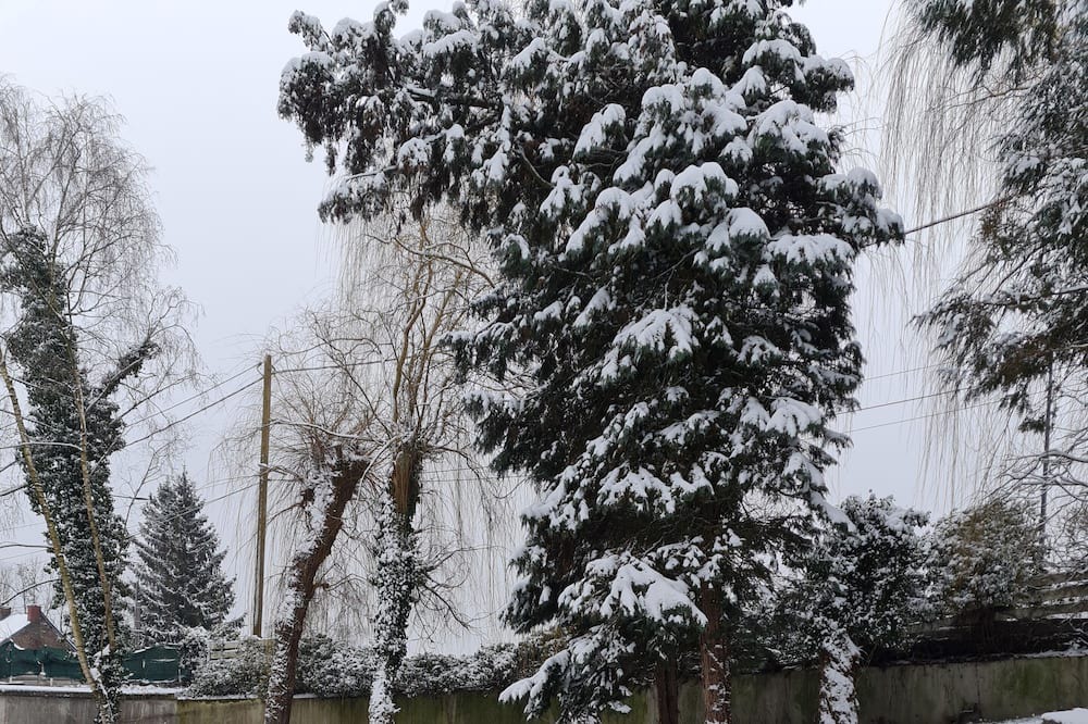 Photo of Outdoor in Feignies