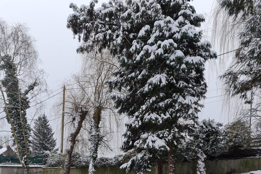 Photo of Outdoor in Feignies