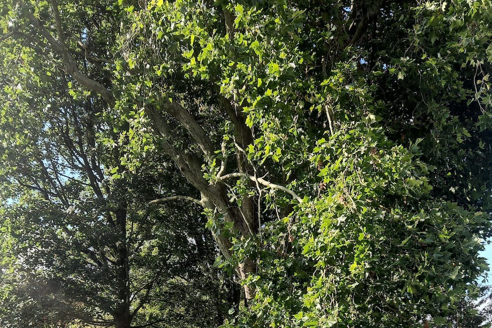 Photo of Outdoor in Feignies