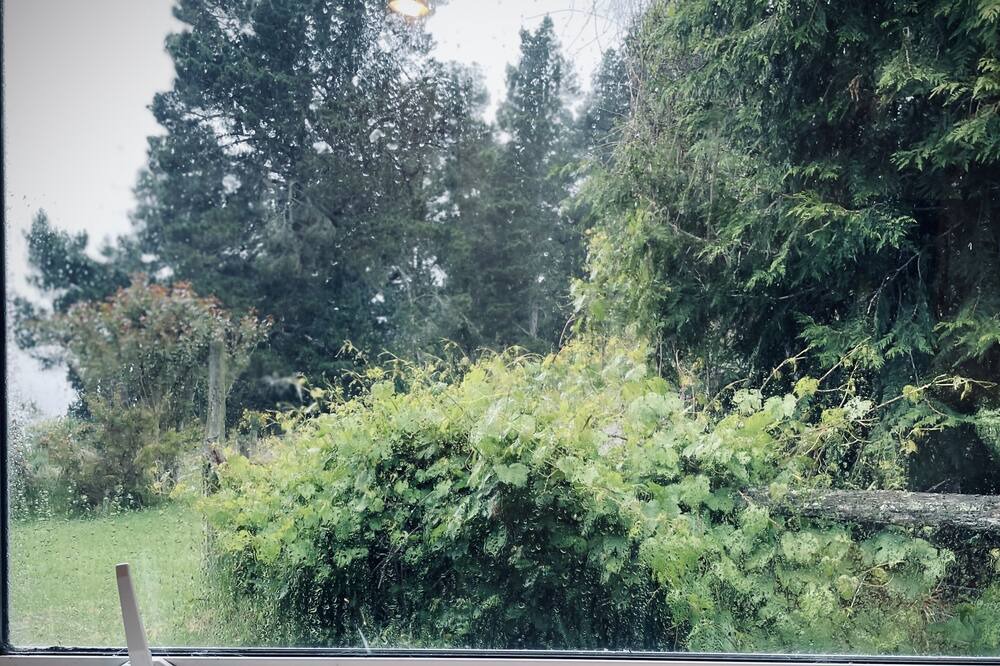 Photo of Others in Springfield