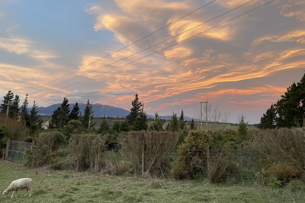 Photo of Others in Springfield