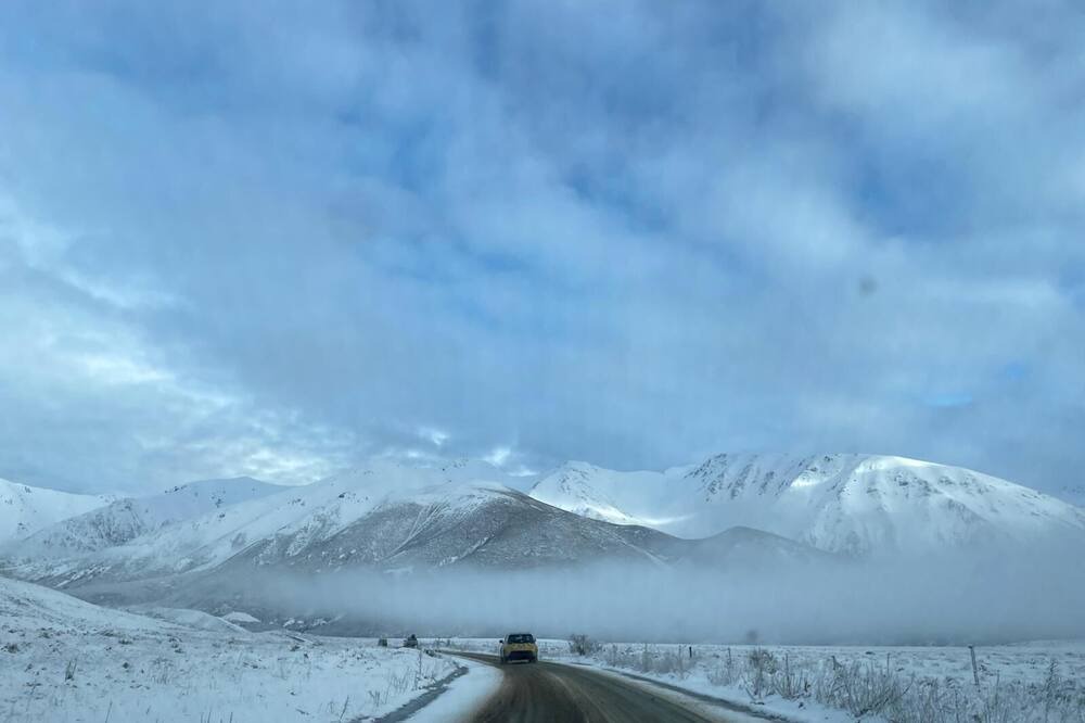 Photo of Others in Springfield