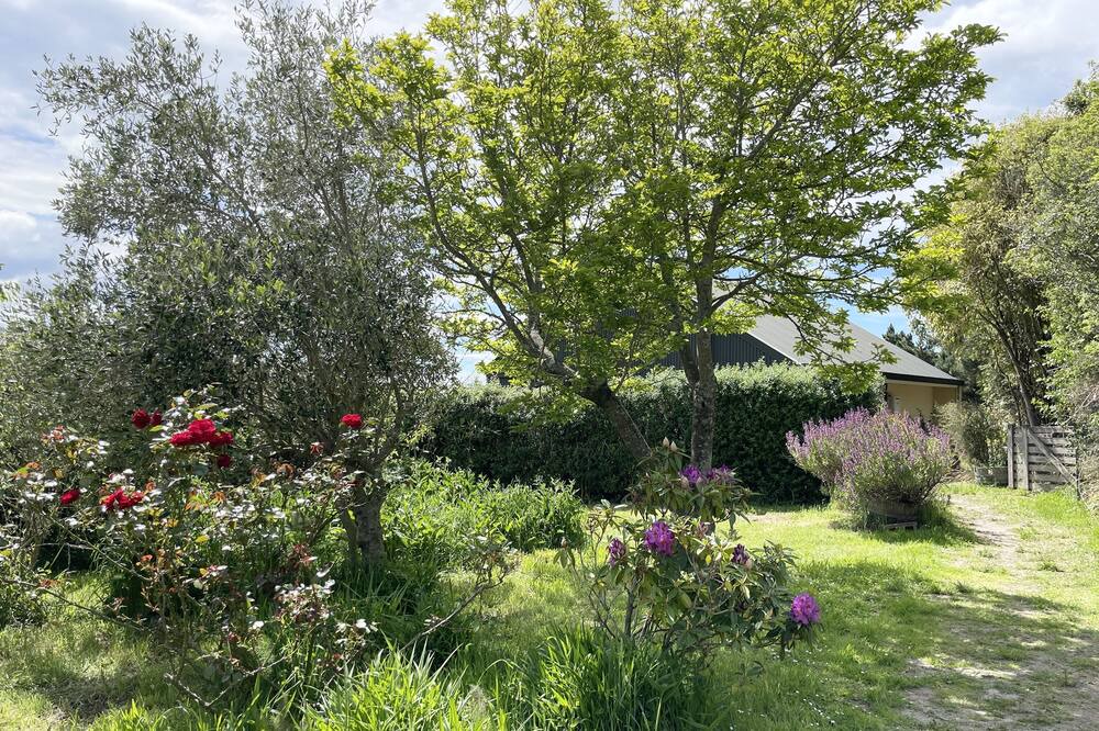 Photo of Outdoor in Springfield