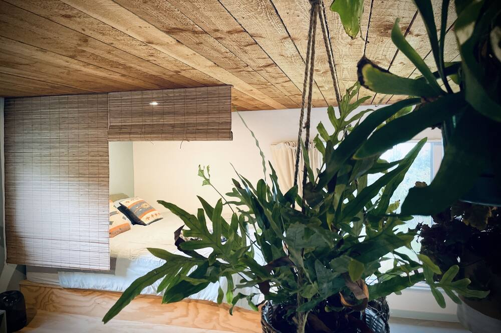 Photo of Others in Springfield