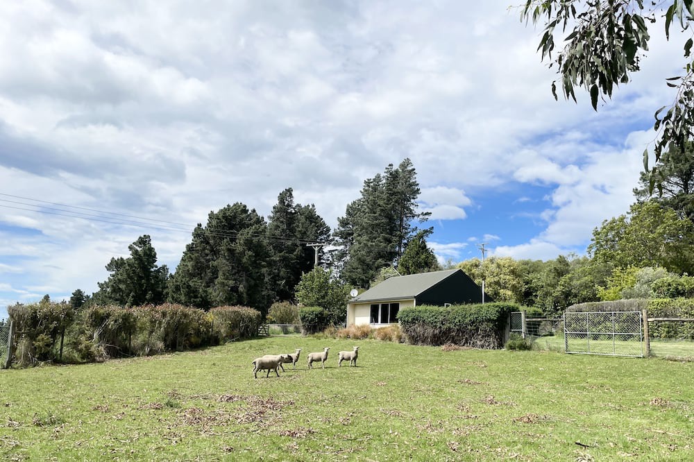 Photo of Outdoor in Springfield