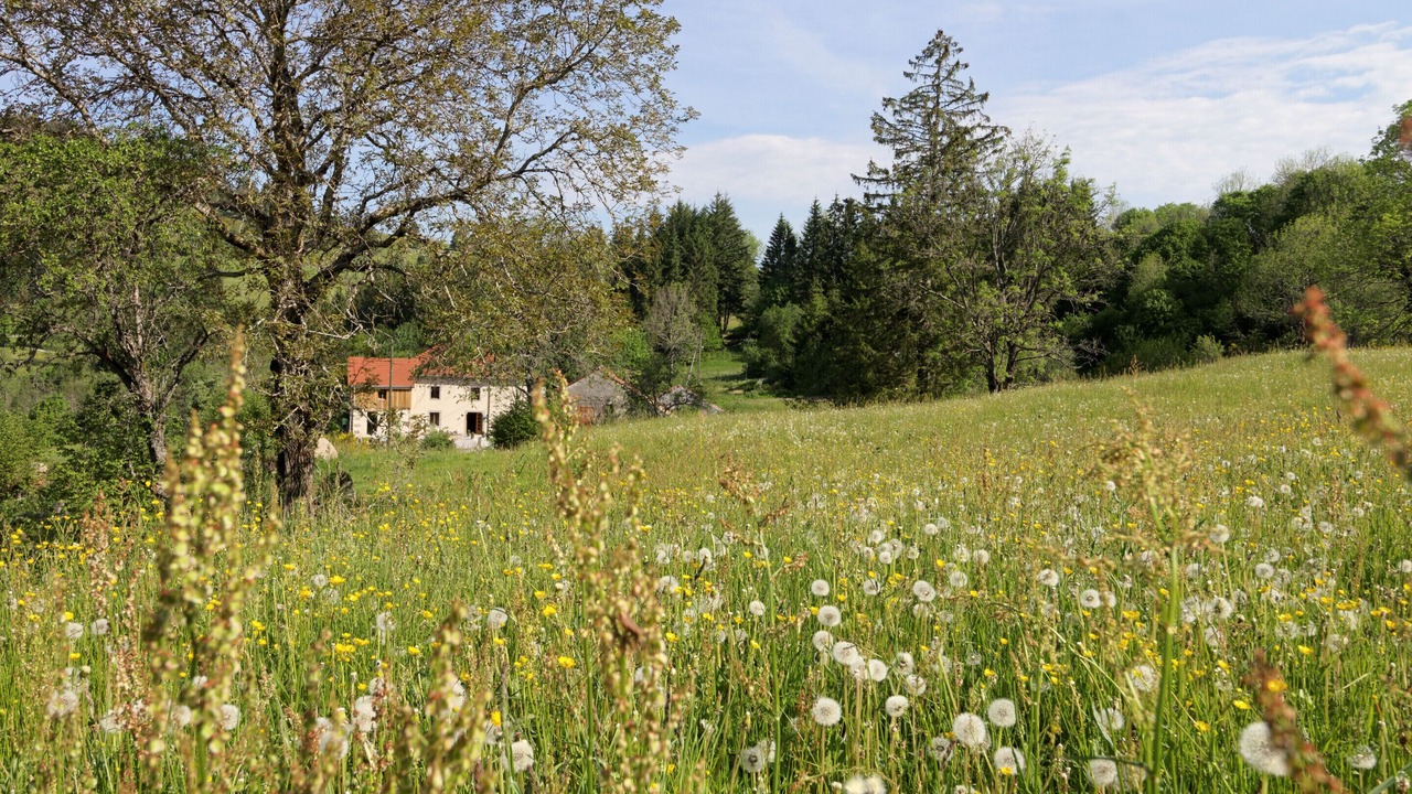 Photo of Others in Saulxures-sur-Moselotte