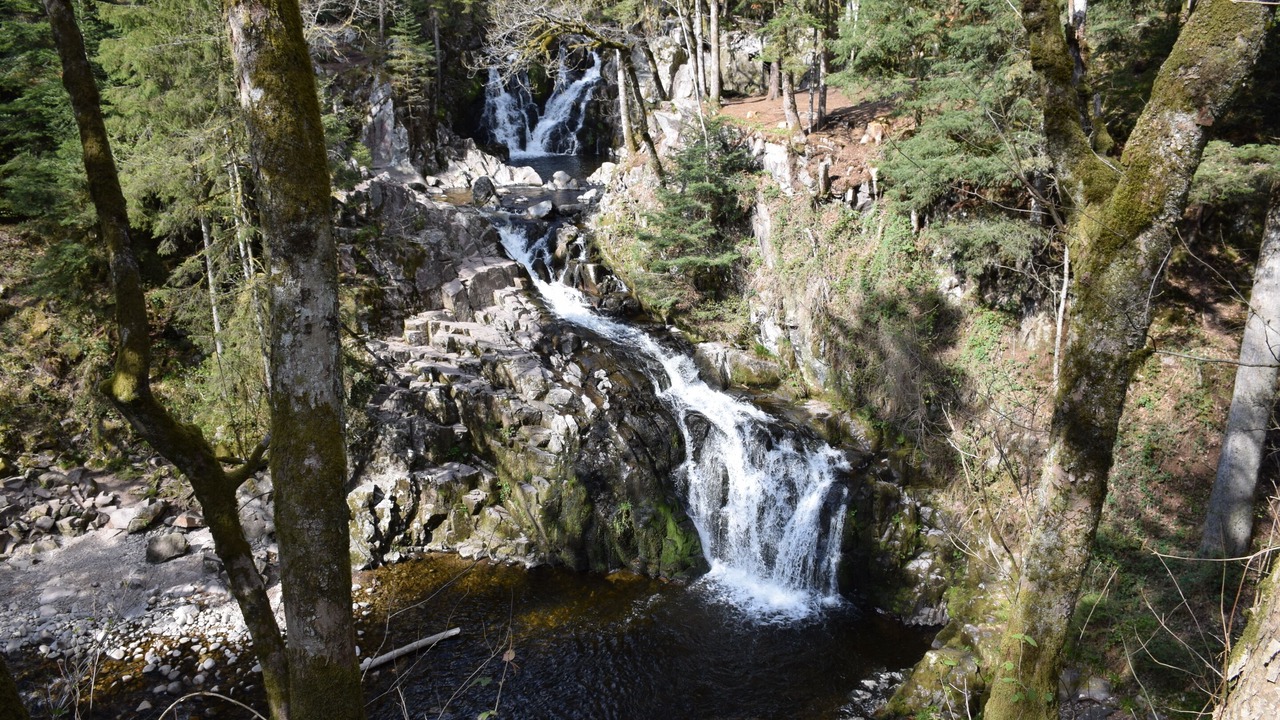 Photo of Others in Saulxures-sur-Moselotte