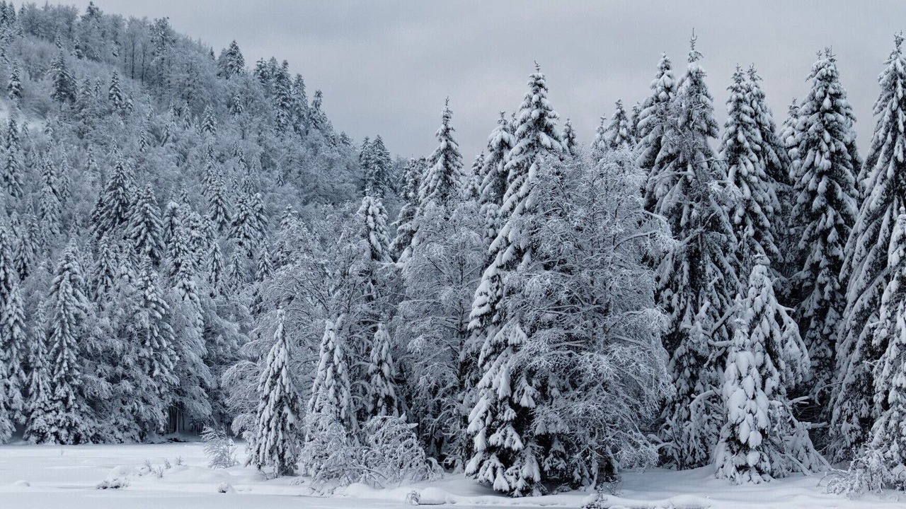 Photo of Others in Saulxures-sur-Moselotte