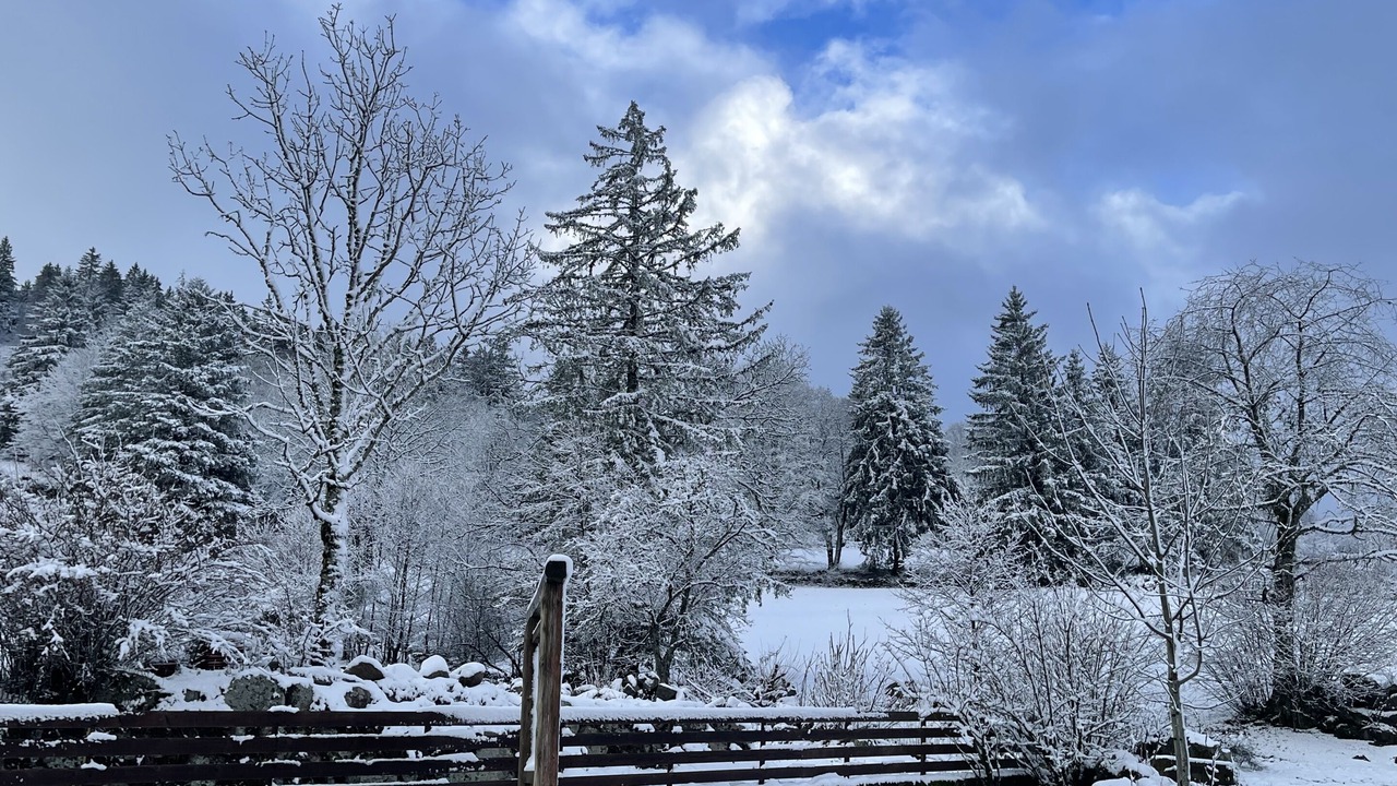 Photo of Others in Saulxures-sur-Moselotte