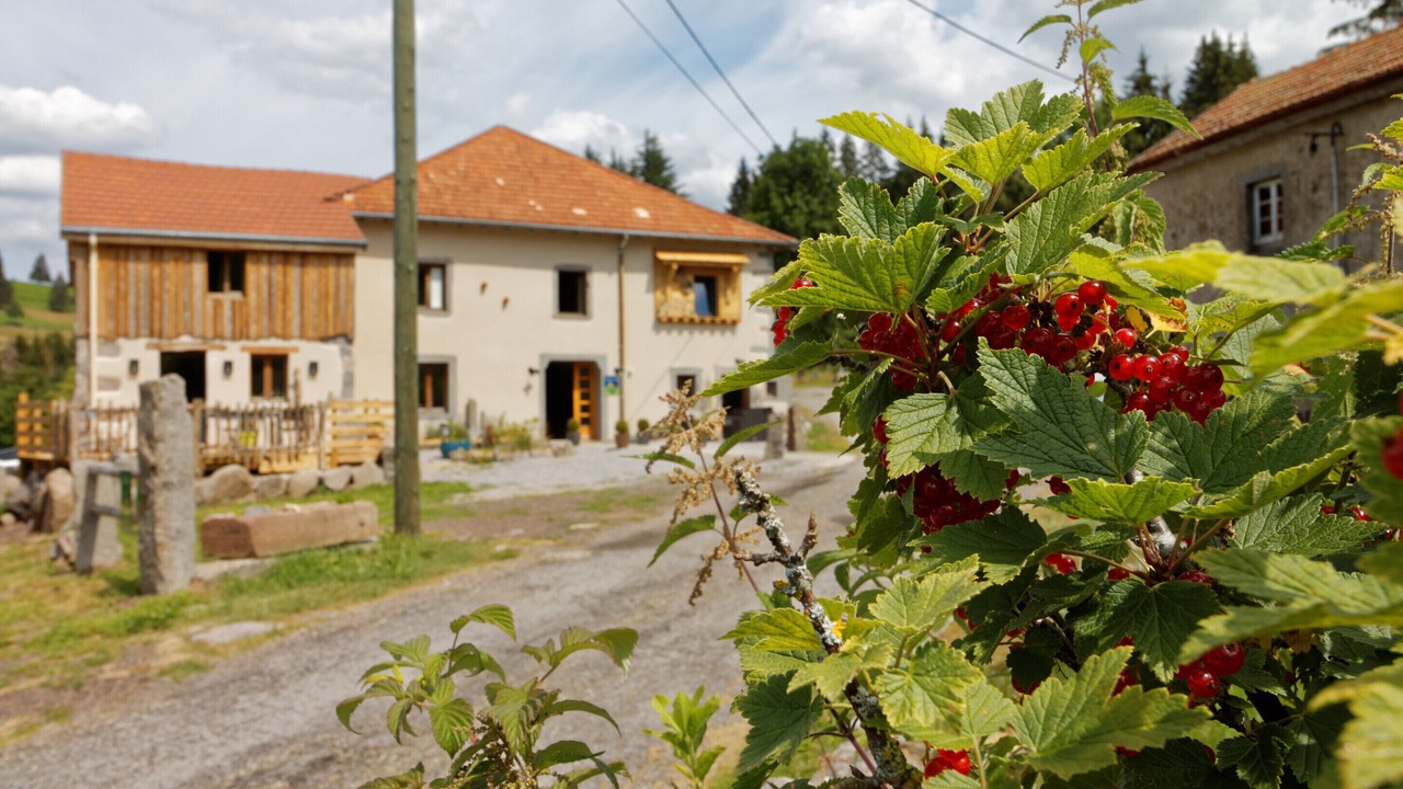 Photo of Others in Saulxures-sur-Moselotte