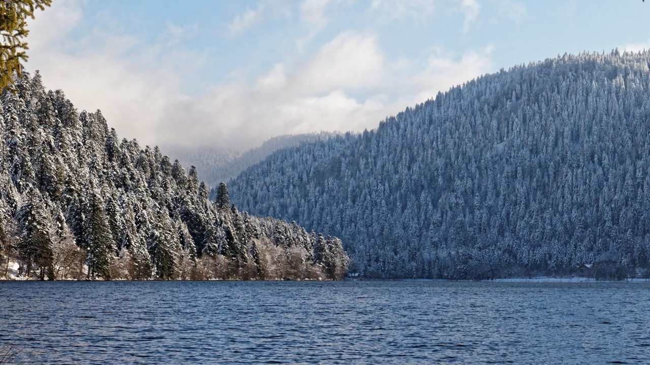 Photo of Others in Saulxures-sur-Moselotte