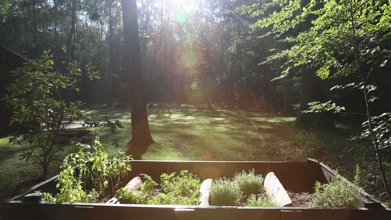 Photo of Outdoor in Poigny la Foret