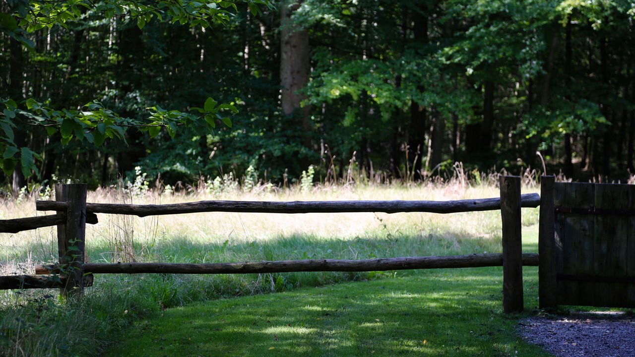 Photo of Outdoor in Poigny la Foret