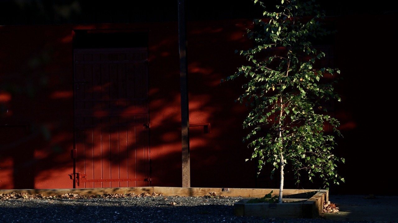 Photo of Others in Poigny la Foret