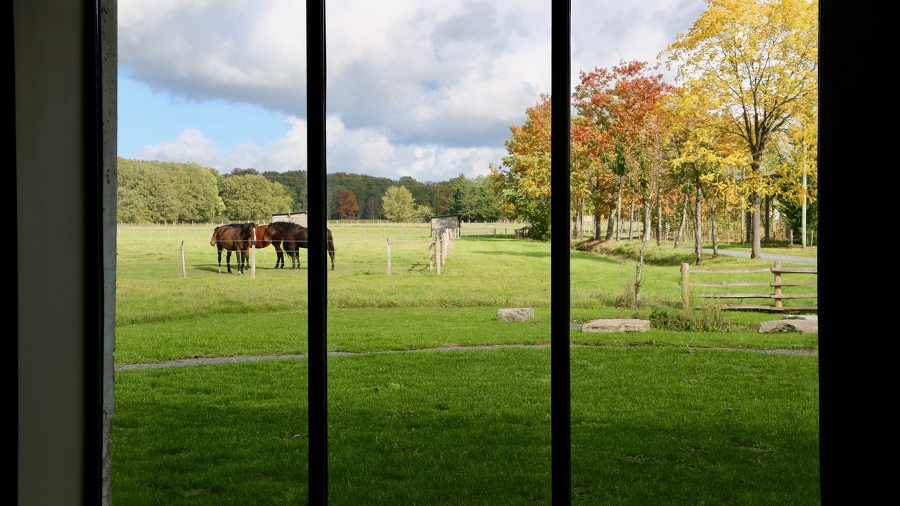 Photo of Outdoor in Poigny la Foret
