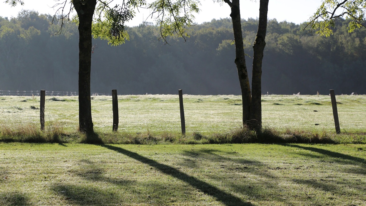Photo of Outdoor in Poigny la Foret