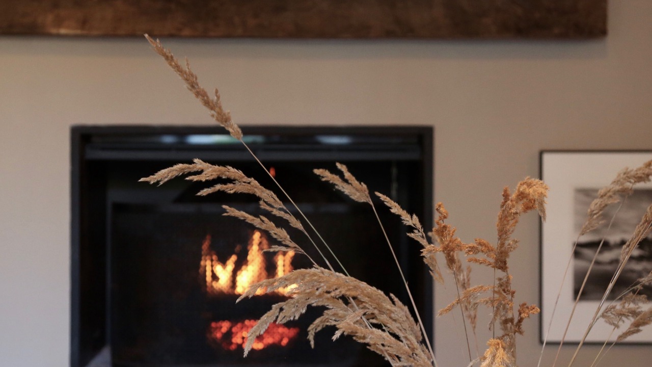 Photo of Others in Poigny la Foret