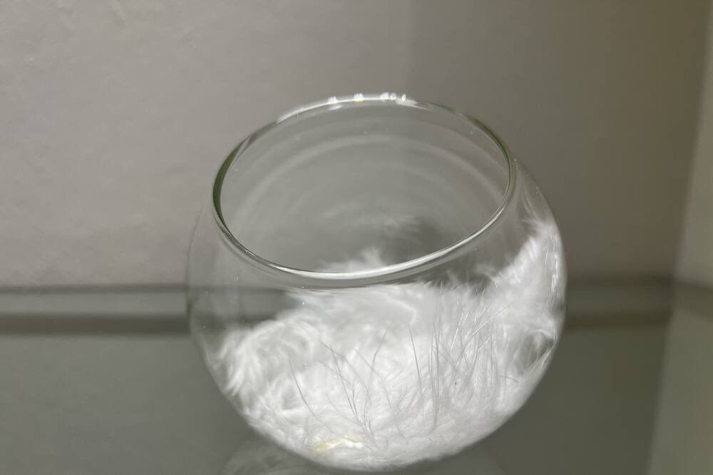 Photo of Others in Castres