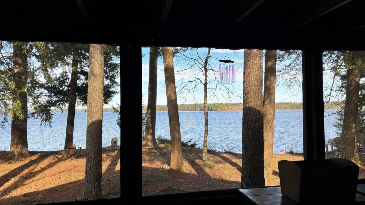 Photo of Outdoor in Belgrade