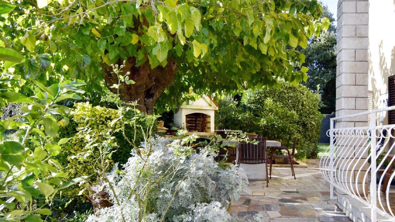 Photo of Outdoor in Basanija