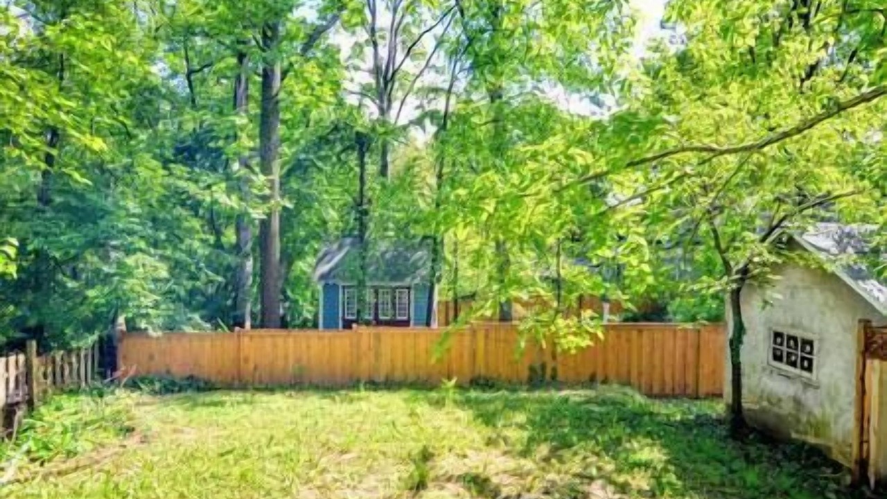 Photo of Outdoor in Takoma Park