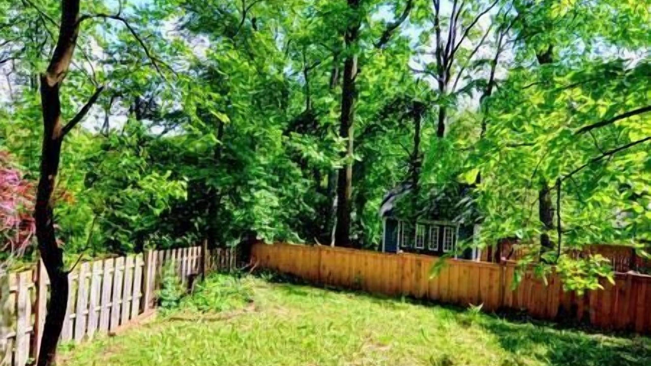 Photo of Outdoor in Takoma Park