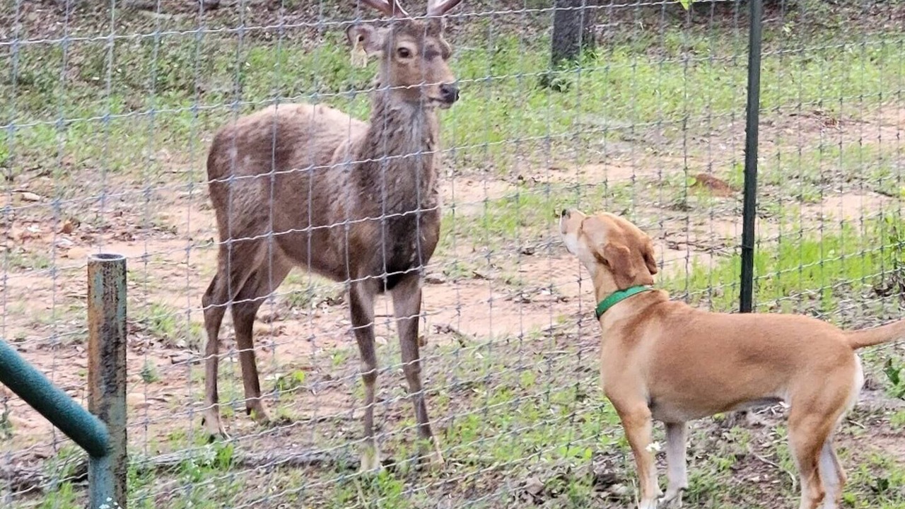 Photo of Others in Cedar Creek