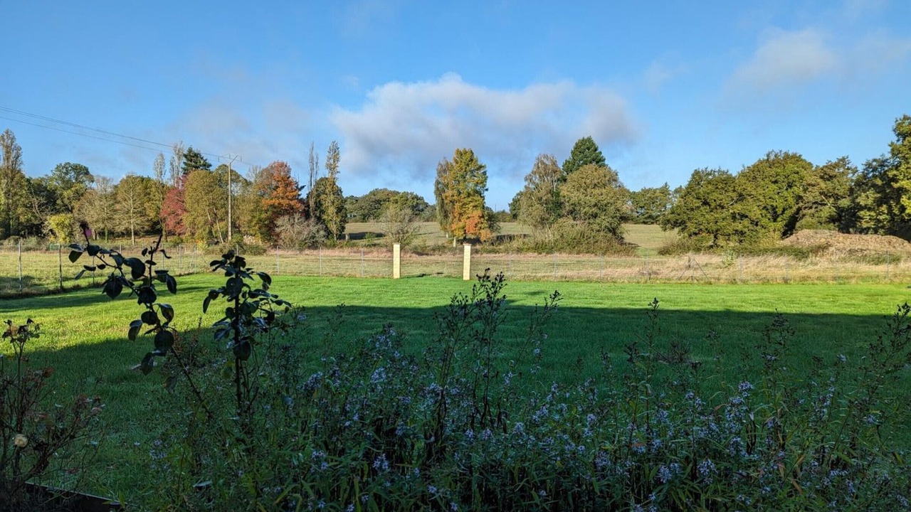 Photo of Others in Esse