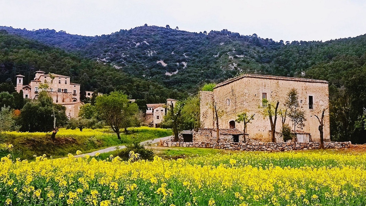 Photo of Outdoor in Seguero