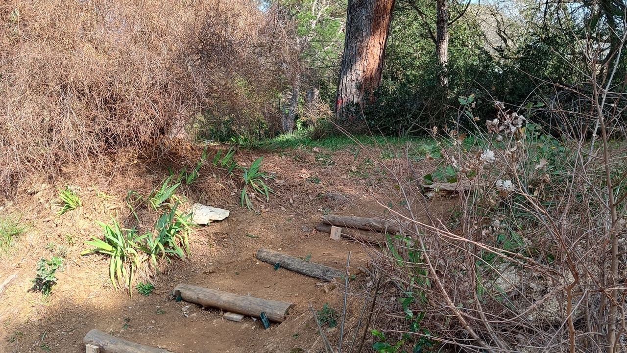 Photo of Outdoor in Saint-Andre-d'Olerargues