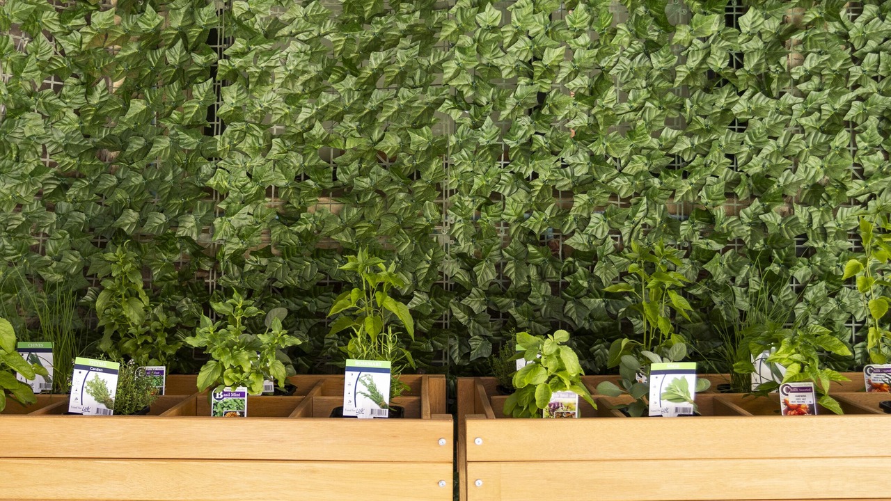 Photo of Outdoor in Adelaide Central Business District