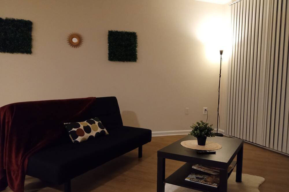 Photo of Livingroom in North Bethesda