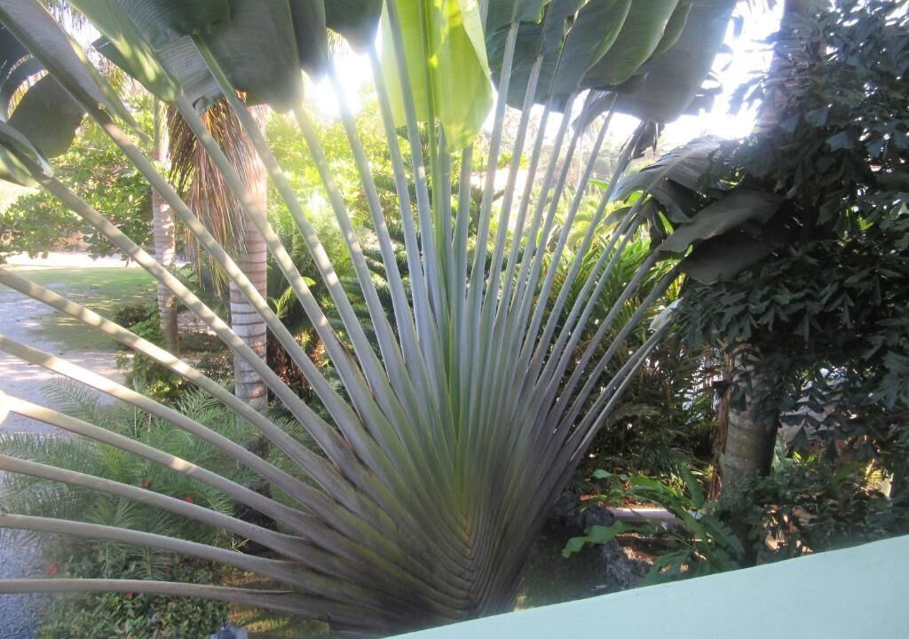 Photo of Outdoor in Nagua