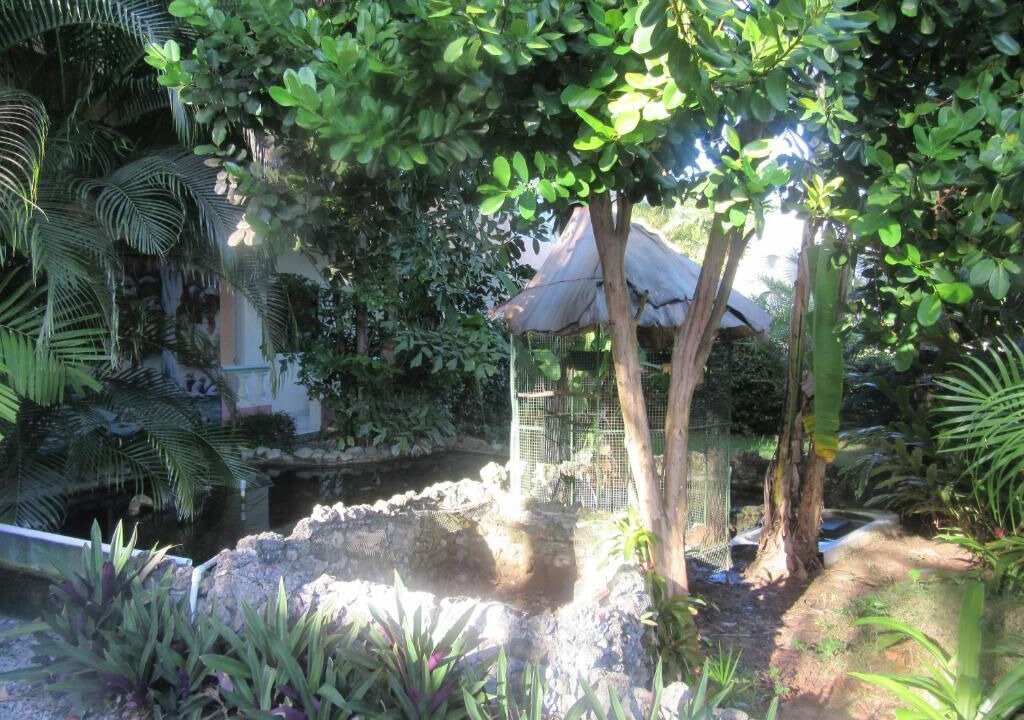 Photo of Outdoor in Nagua