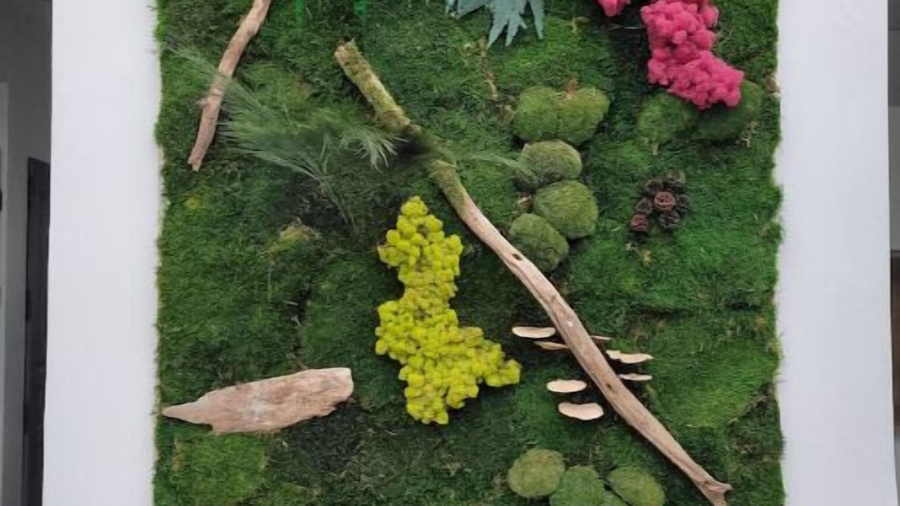 Photo of Others in Sens