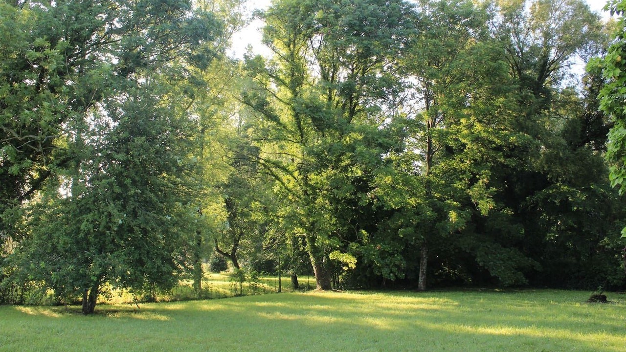 Photo of Outdoor in Rue