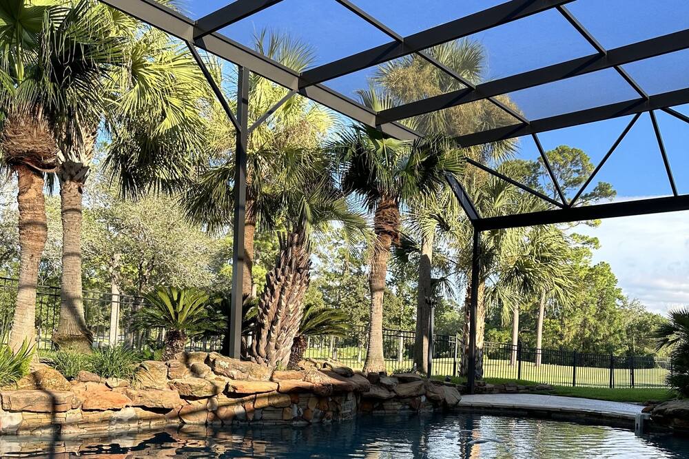 Photo of Outdoor in Spring