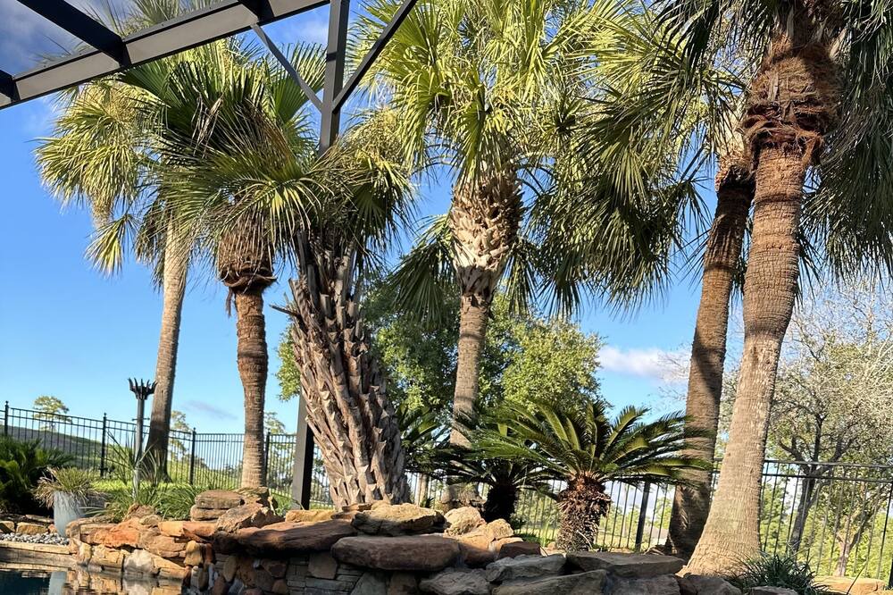 Photo of Outdoor in Spring