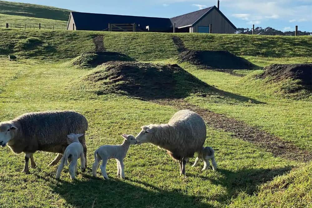 Photo of Others in Haruru