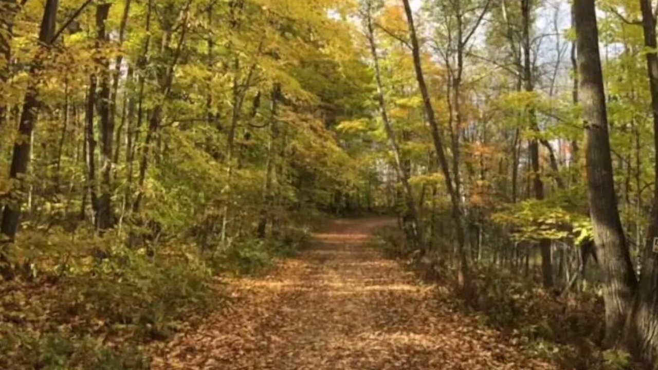 Photo of Outdoor in Aitkin