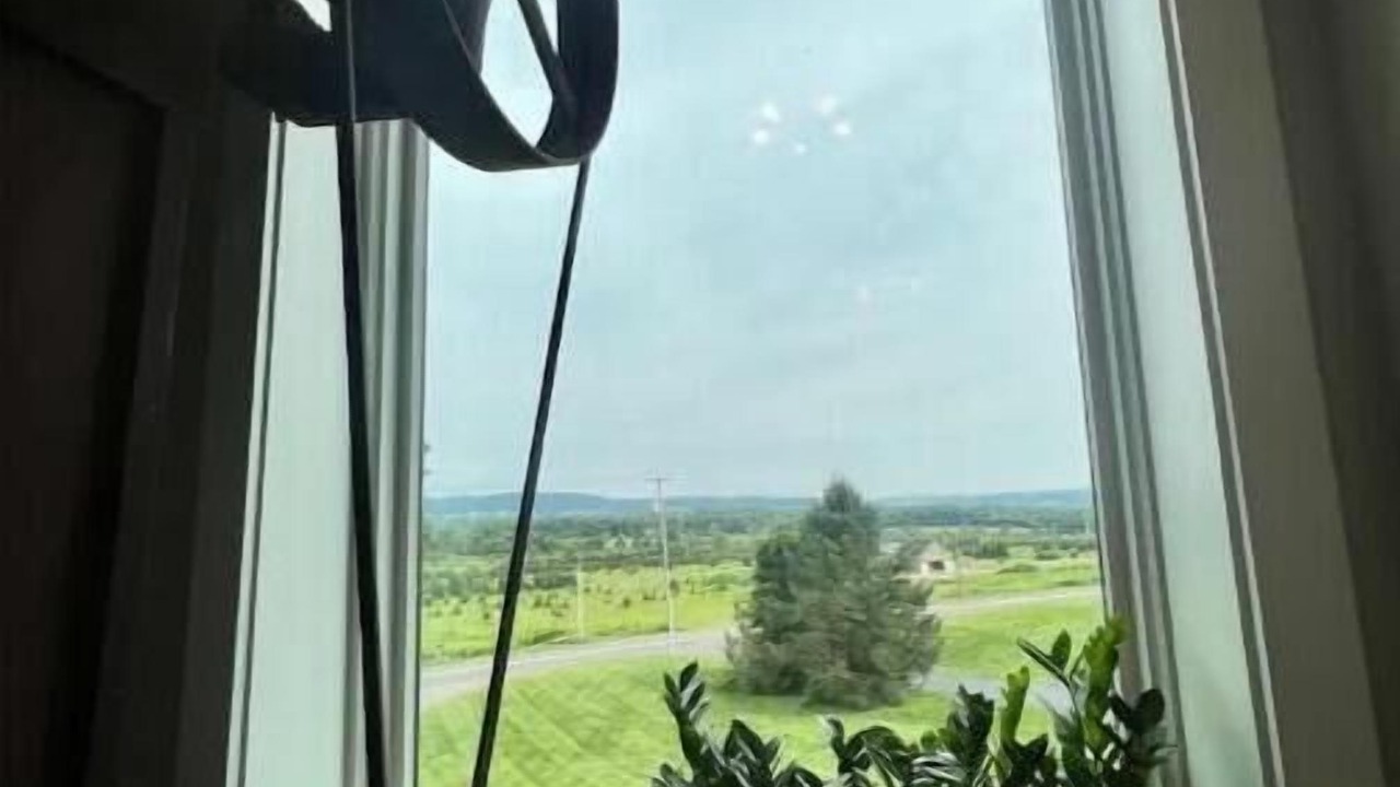 Photo of Others in Muncy