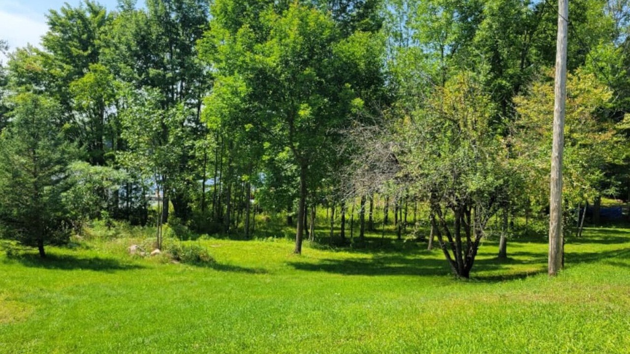 Photo of Outdoor in Colebrook